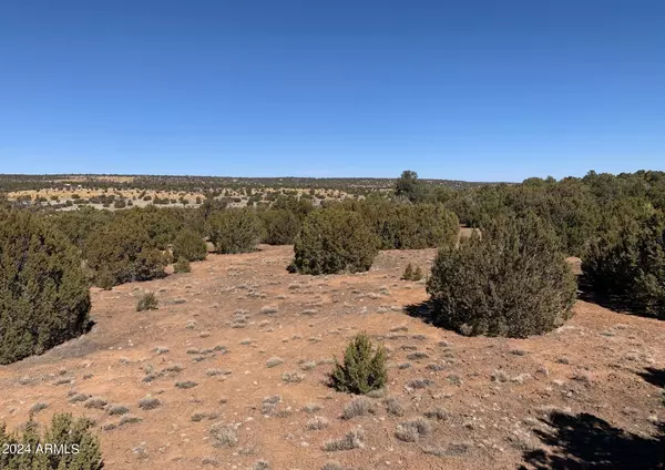 Vernon, AZ 85940,5 COUNTY ROAD 3036 -- #-