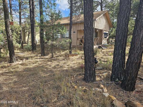 2167 HASHKNIFE Drive,  Overgaard,  AZ 85933