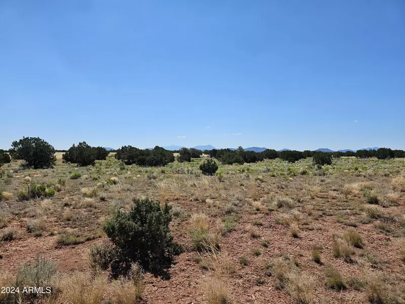 1807 E DIRTY FIRST Street #51, Williams, AZ 86046