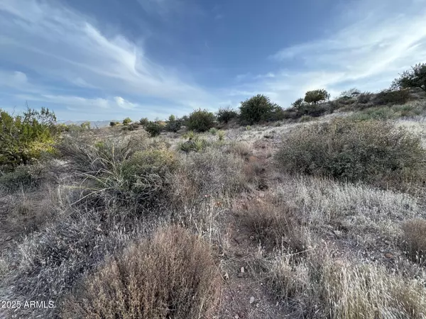 Fort Mcdowell, AZ 85264,27700 E MOUNT ORD Drive #9