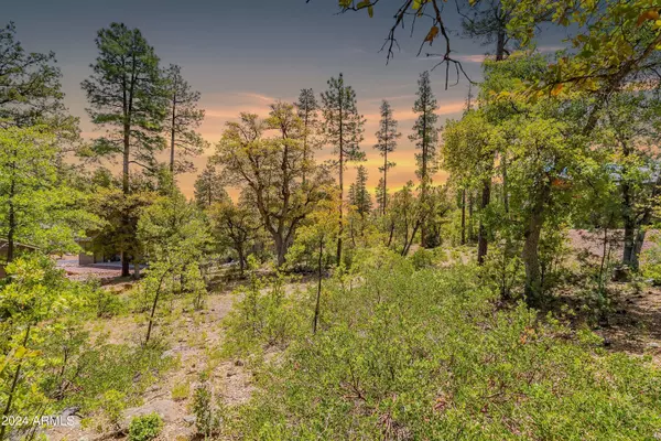 Pine, AZ 85544,4020 W Forest Court #71