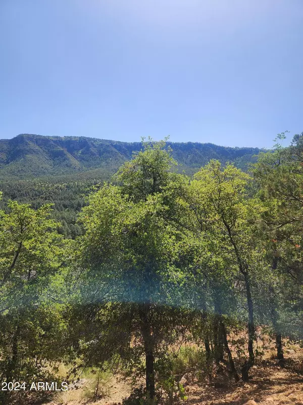 Pine, AZ 85544,5059 N HILLTOP Drive #147