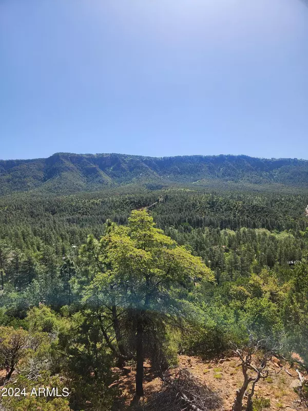 5059 N HILLTOP Drive #147, Pine, AZ 85544