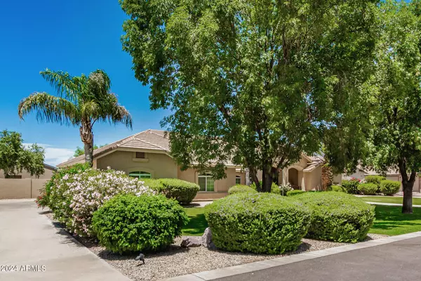 Queen Creek, AZ 85142,19630 E VIA DEL ORO Street