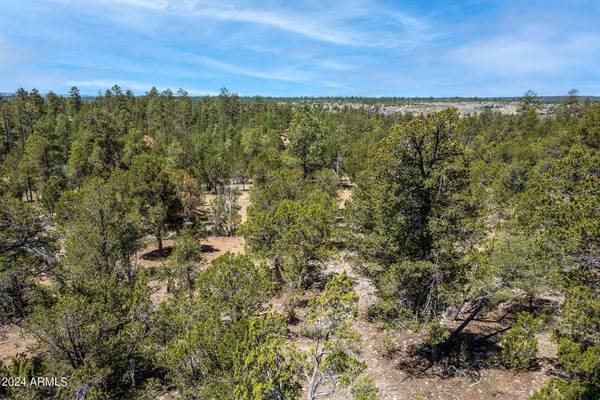 Heber, AZ 85928,2968 TAMARISK Trail #-