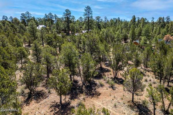 Heber, AZ 85928,2968 TAMARISK Trail #-