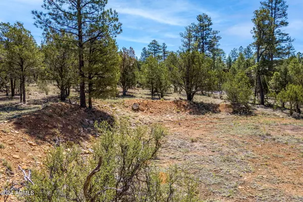 Heber, AZ 85928,2968 TAMARISK Trail #-