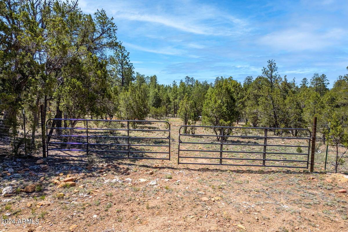 Heber, AZ 85928,2968 TAMARISK Trail #-