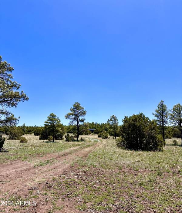 Lakeside, AZ 85929,129 Lone Horseman Road #021