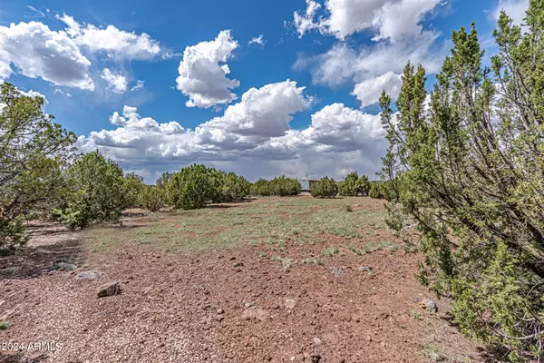 Show Low, AZ 85901,8702 SUPANCHECK Road