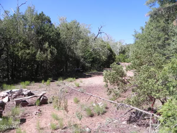 14 W Paint Pony Drive #A, Payson, AZ 85541