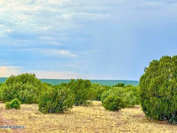 Show Low, AZ 85901,4 Silver Lake 14 Acres -- #C-4