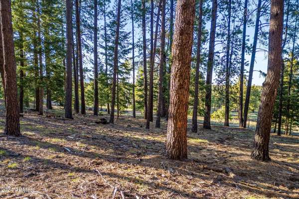 Greer, AZ 85927,10 N Street N1337 -- #4