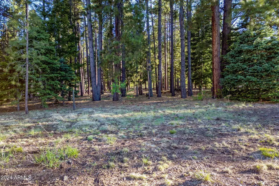 10 N Street N1337 -- #4, Greer, AZ 85927