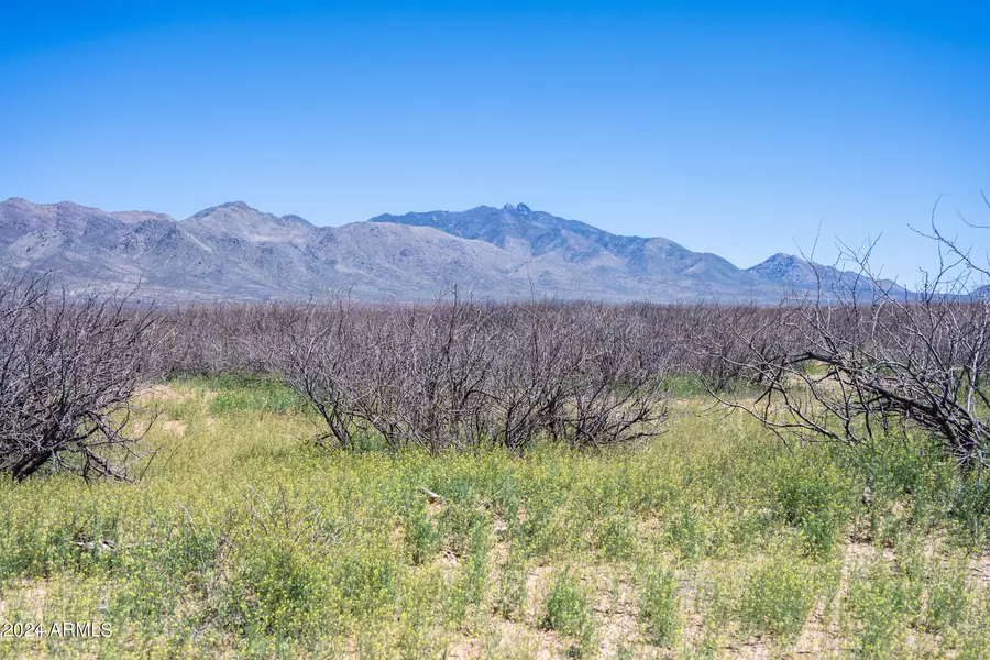40 S Martin Ranch Road #1, Willcox, AZ 85643
