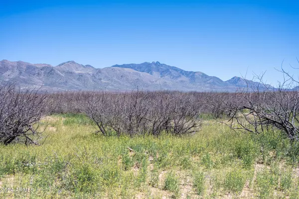 40 S Martin Ranch Road #1, Willcox, AZ 85643