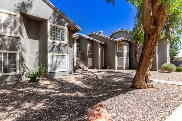 Chandler, AZ 85226,255 S KYRENE Road #117