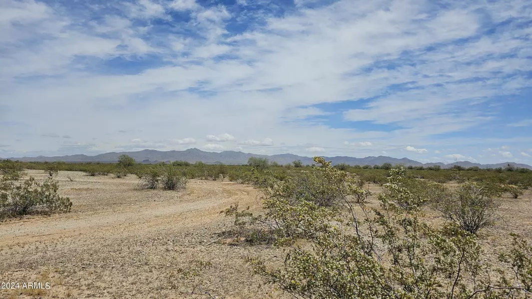 4711 N 312TH Avenue #58, Buckeye, AZ 85396