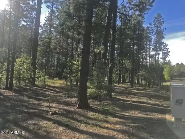 Pinetop, AZ 85935,8508 Skywood Drive #38