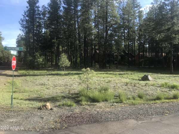 Pinetop, AZ 85935,8509 Pinewood Drive #52