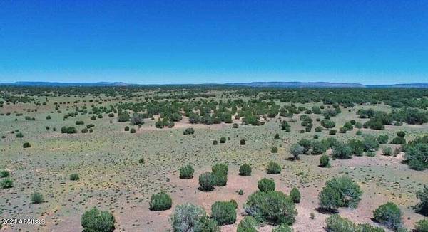 Seligman, AZ 86337,Jackpot Ranch Rd 13 Acres -- #-