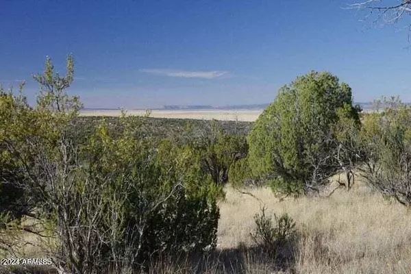 Seligman, AZ 86337,29745 W Rock Ridge Rd Road #-