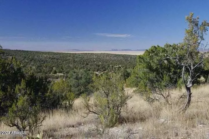 Seligman, AZ 86337,29745 W Rock Ridge Rd Road #-