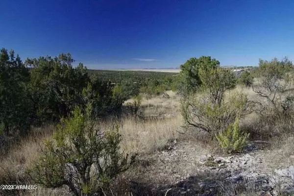 Seligman, AZ 86337,29745 W Rock Ridge Rd Road #-