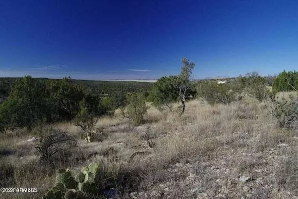 Seligman, AZ 86337,29745 W Rock Ridge Rd Road #-
