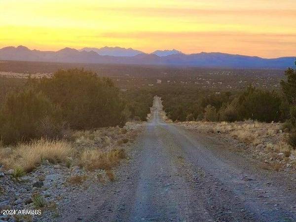 Seligman, AZ 86337,W Peaceful View Trl 42.87 Acres -- #-