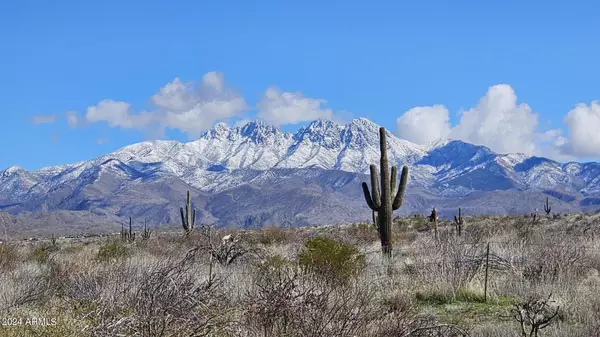 Tonto Basin, AZ 85553,554 MAD AS HELL RANCH Trail #12