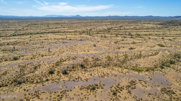 Wittmann, AZ 85361,509 W Dove Valley Road #253