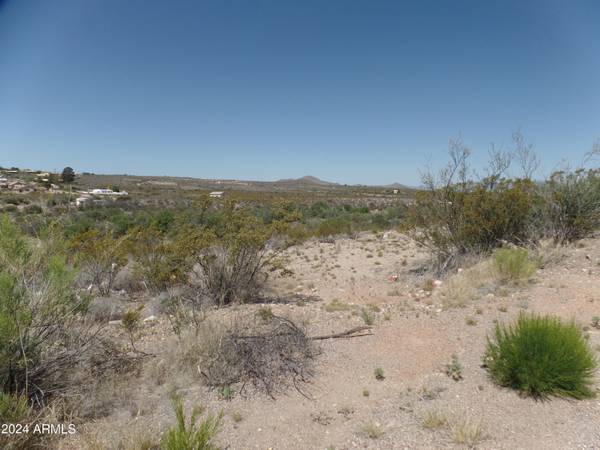 Tombstone, AZ 85638,10921209 N Saddleback Circle #262, 263, 264