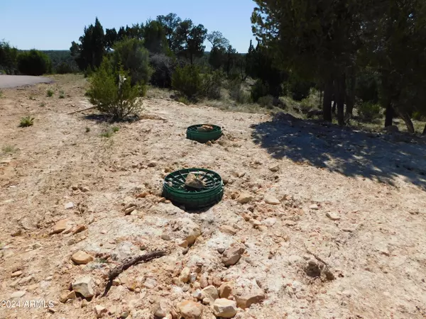 Heber, AZ 85928,1852 SOLOMON Circle #54/55