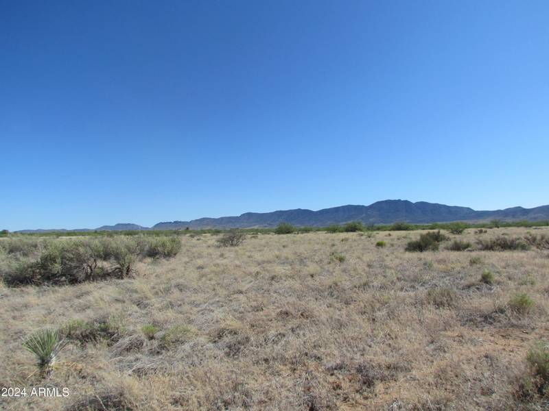 LOT 4 -- #4, Pearce, AZ 85625