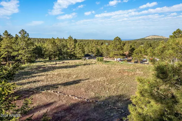 Greer, AZ 85927,34 N 1330 -- #14