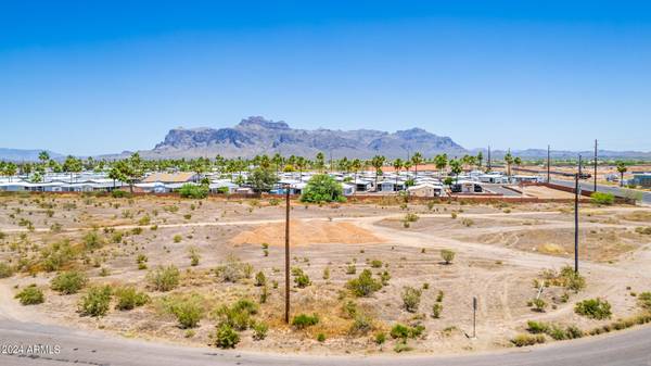 Apache Junction, AZ 85119,880 S Royal Palm Road #LOT #1