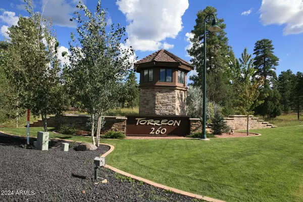 Show Low, AZ 85901,4601 W Acer Lane #455