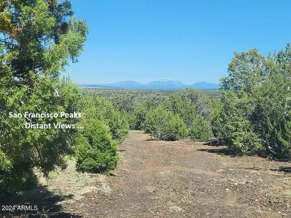 534 Tonner Road #534, Williams, AZ 86046