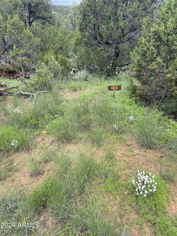 Heber, AZ 85928,3634 Bobcat Trail #049