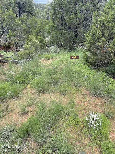 3634 Bobcat Trail #049, Heber, AZ 85928