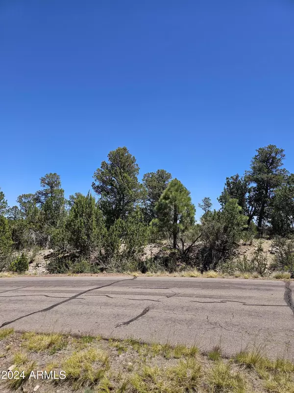 Overgaard, AZ 85933,2955 E LOOKOUT Lane #337