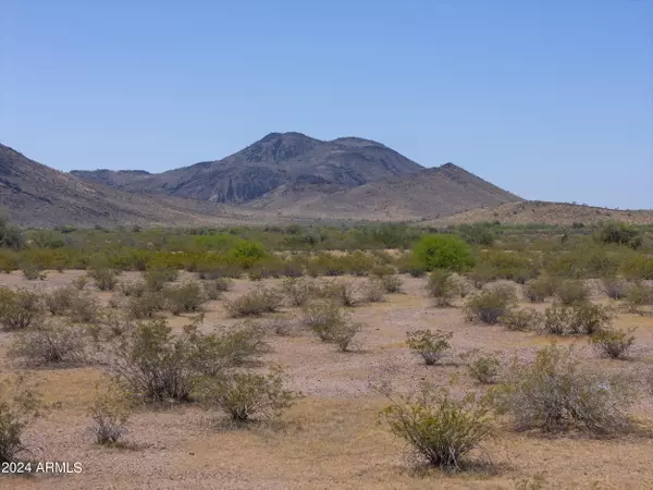 Tonopah, AZ 85354,20 N 413th Avenue #-