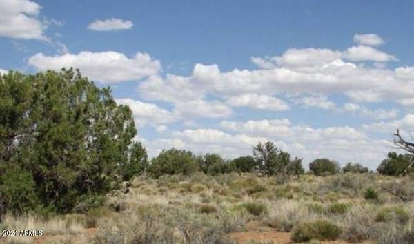 Chevelon Canyon Ranch Lot 363 -- #363, Heber, AZ 85928