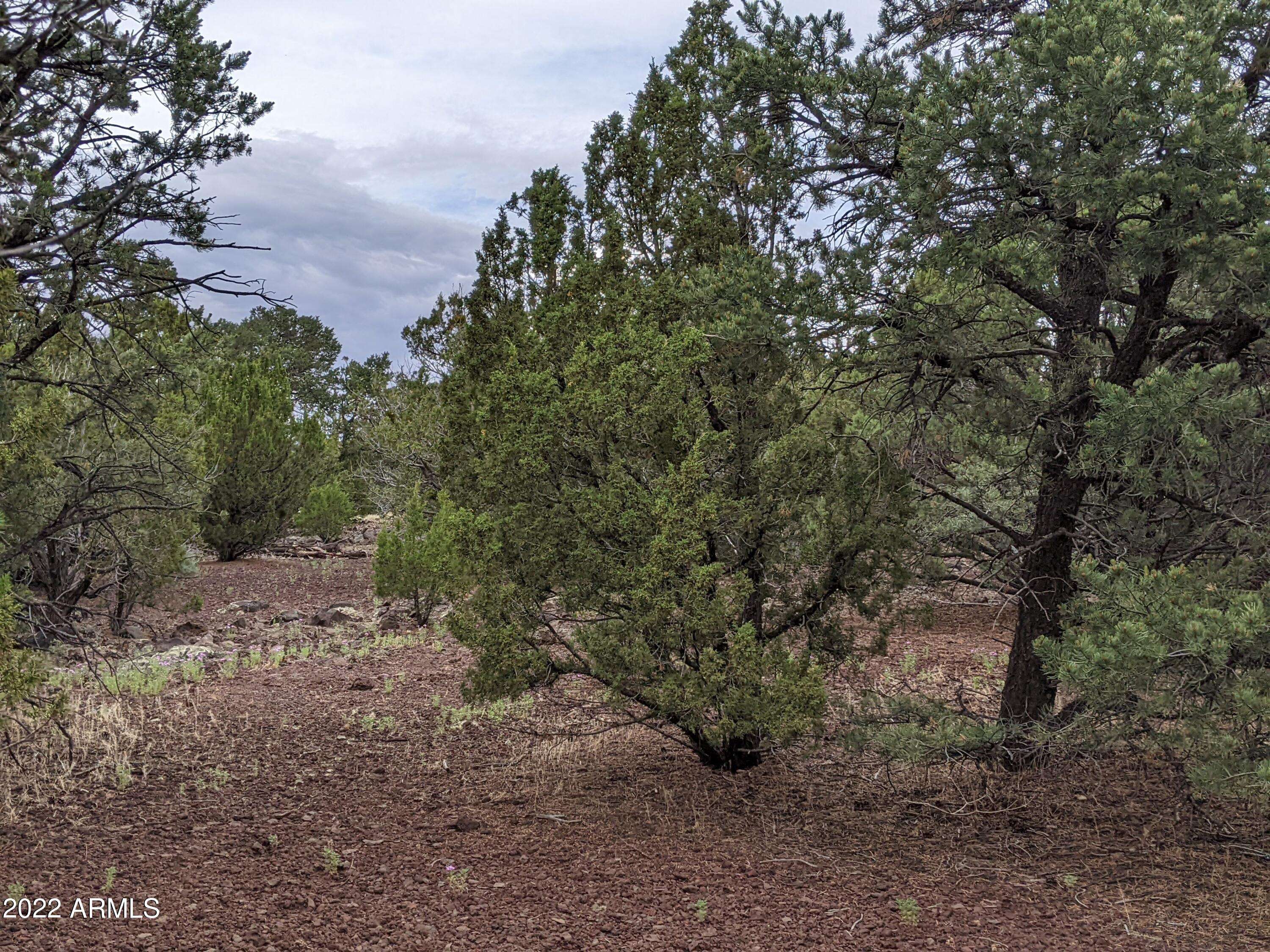 Vernon, AZ 85940,72 N Dolly Drive #72
