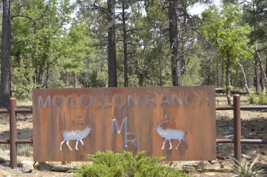 6663 MOGOLLON Trail #42, Happy Jack, AZ 86024
