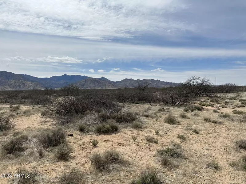 0 S Buckeye Apache B Road #9, Bowie, AZ 85605