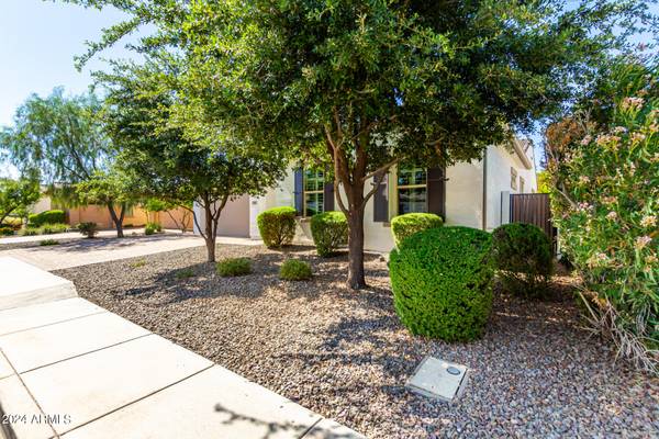 Chandler, AZ 85286,2870 E Iris Drive