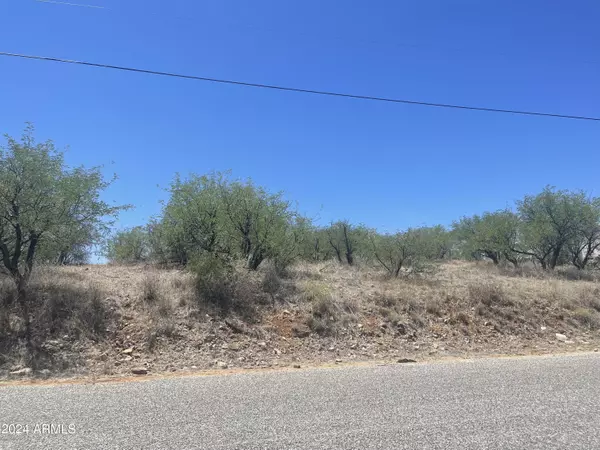 Rio Rico, AZ 85648,179 AVENIDA OSTION -- #55