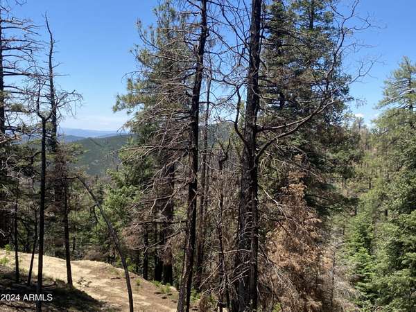 Prescott, AZ 86303,1001 S turkey trot Trail #-